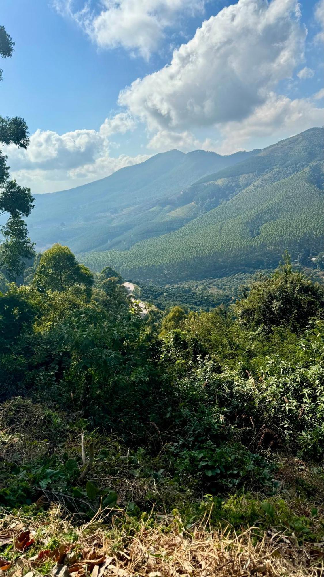 Magoebaskloof Mountain Lodge Тзанеен Экстерьер фото