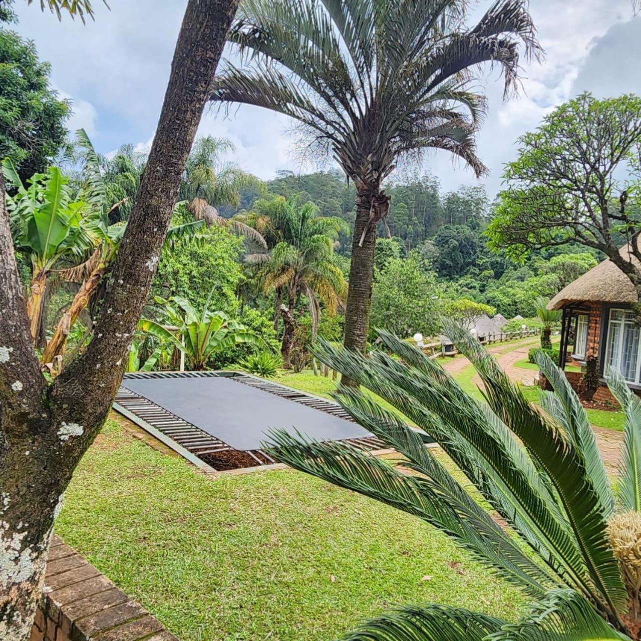 Magoebaskloof Mountain Lodge Тзанеен Экстерьер фото